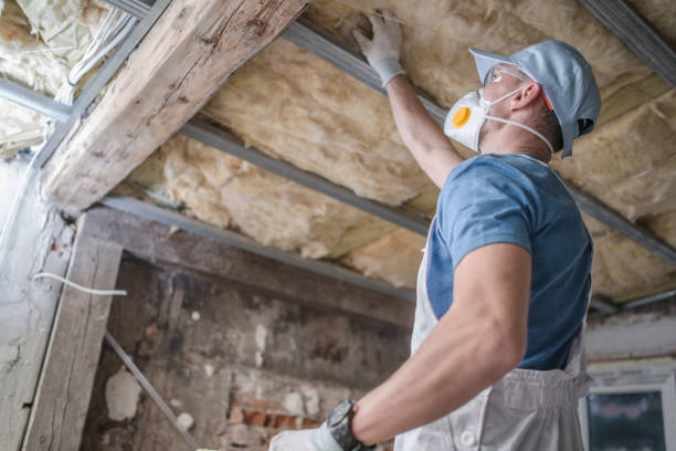 Types of Insulation We Offer in Tekamah, NE