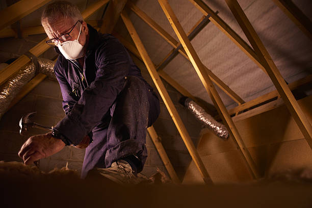 Best Geographic-Specific Insulation Services in Tekamah, NE
